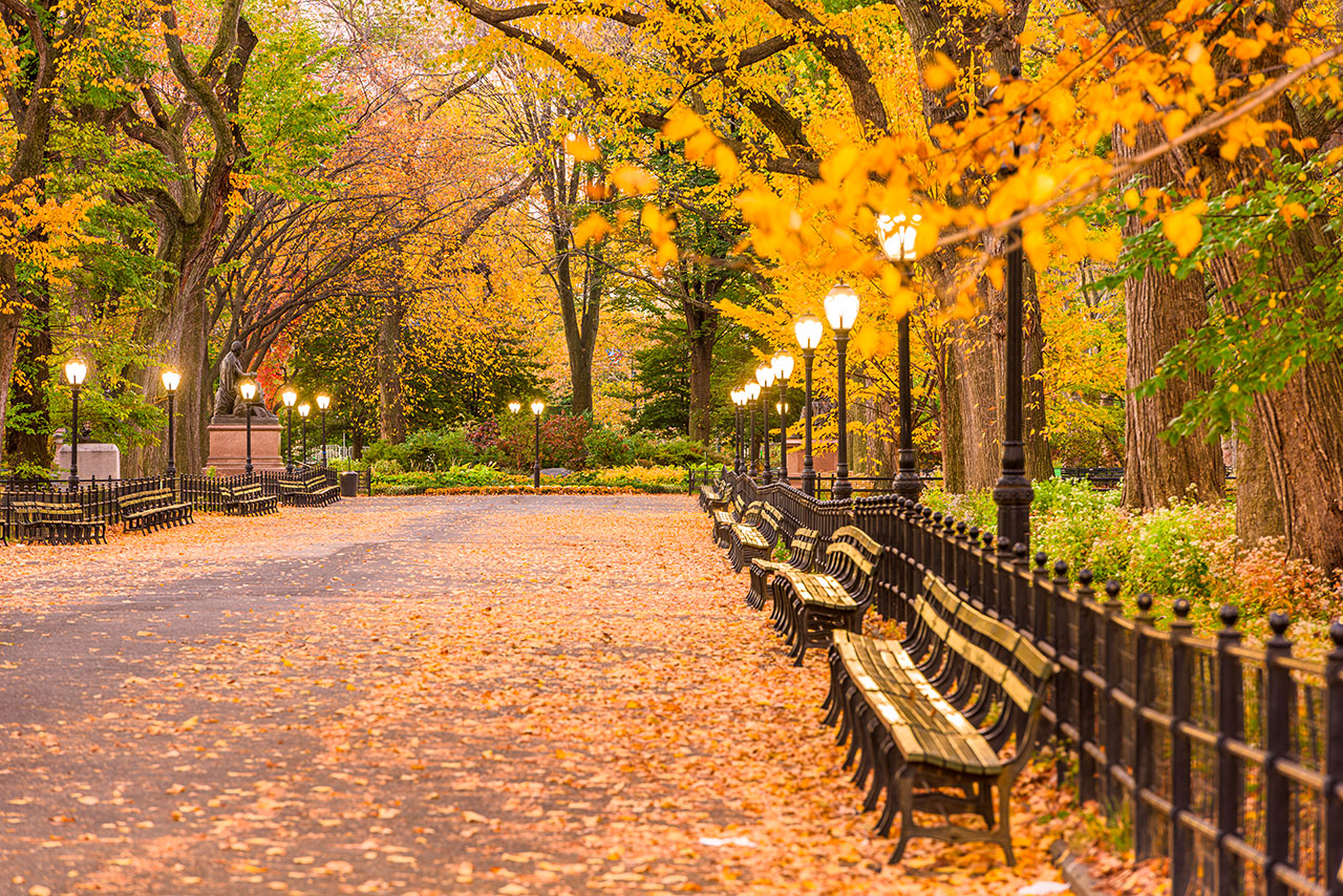 Central Park, el pulmón verde de Nueva York